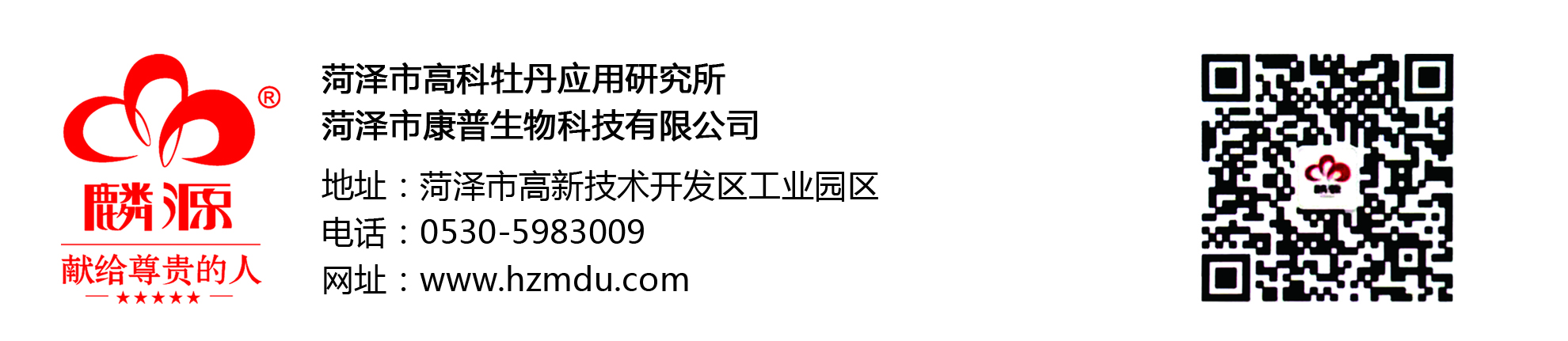 “國花”投票后牡丹產品銷量大漲，康普生物總經理王連崗先生接受大眾網記者采訪